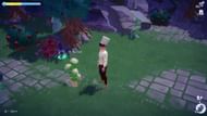 Cumin can be found in Ancient's Landing (Image via Gameloft)